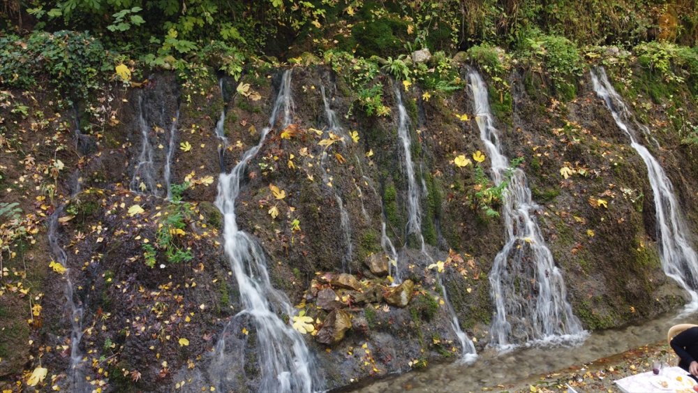 Doğayla İç İçe Alışverişin Adresi: Zeyve Pazarı