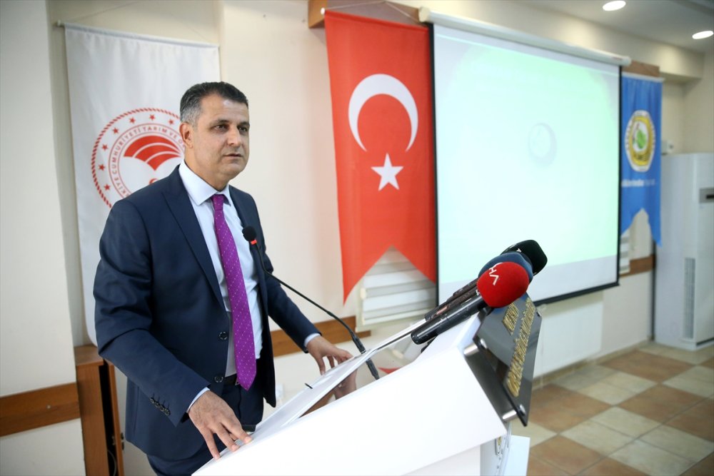 Mersin'de Bu Yıl 81 Orman Yangınında 9 Bin 563 Hektar Alan Zarar Gördü