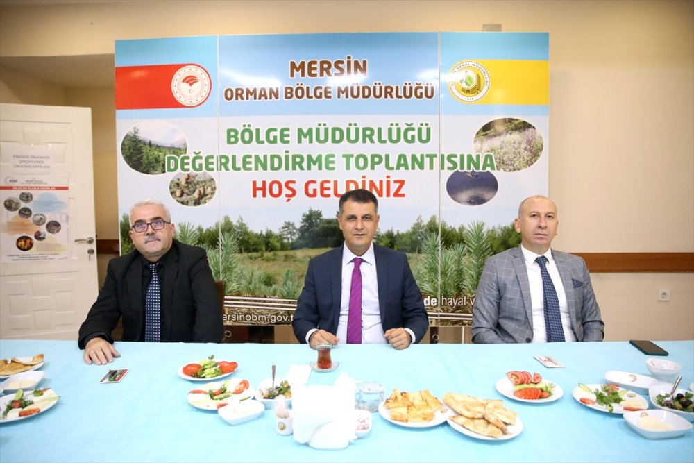 Mersin'de Bu Yıl 81 Orman Yangınında 9 Bin 563 Hektar Alan Zarar Gördü