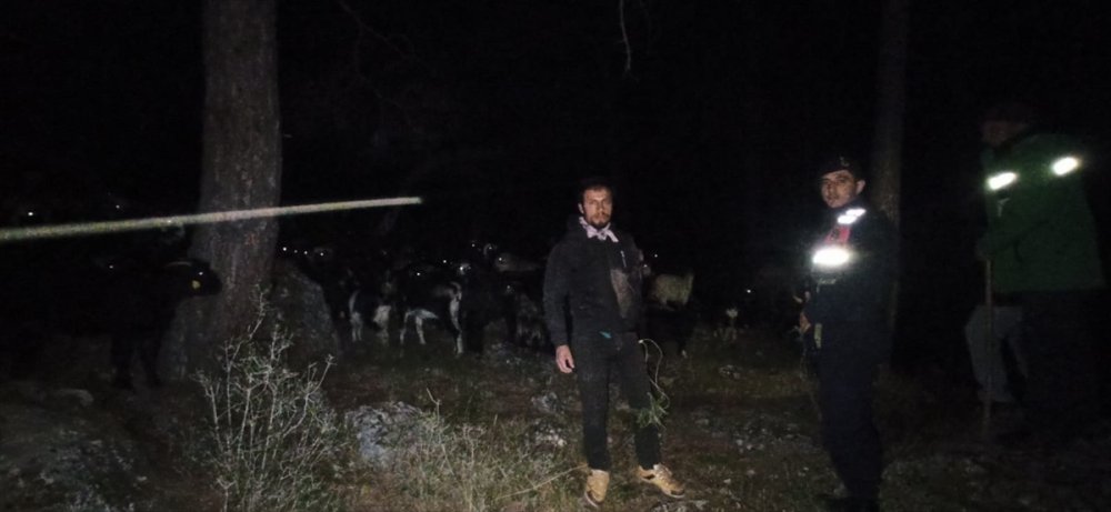 Kaybolan 300 Küçükbaş Hayvan Bulundu