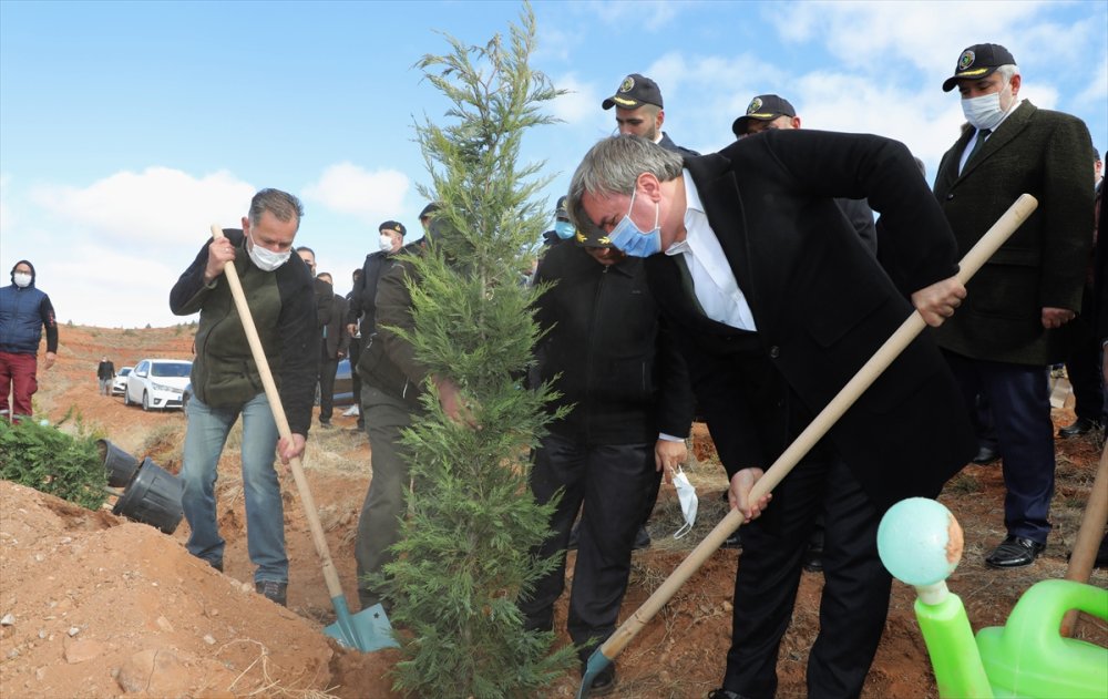 Aksaray'da 5 Bin Fidan İçin Can Suyu Verildi