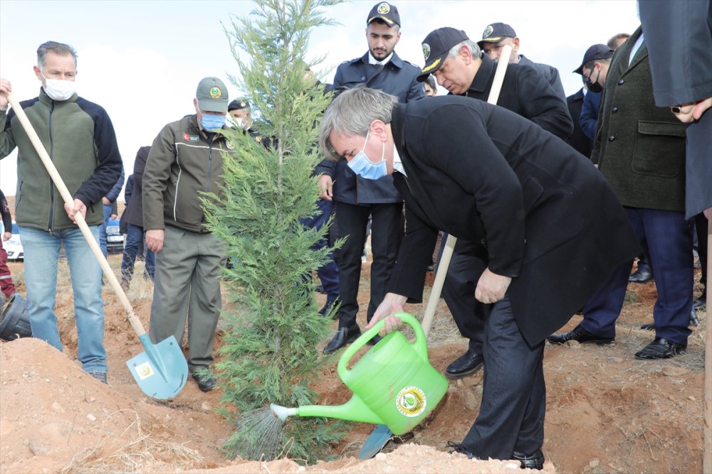Aksaray'da 5 Bin Fidan İçin Can Suyu Verildi