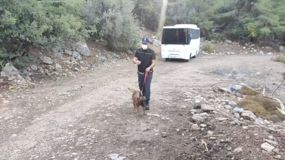 Gülnar'da 3 Yaşındaki Yörük Kızı Aranaıyor