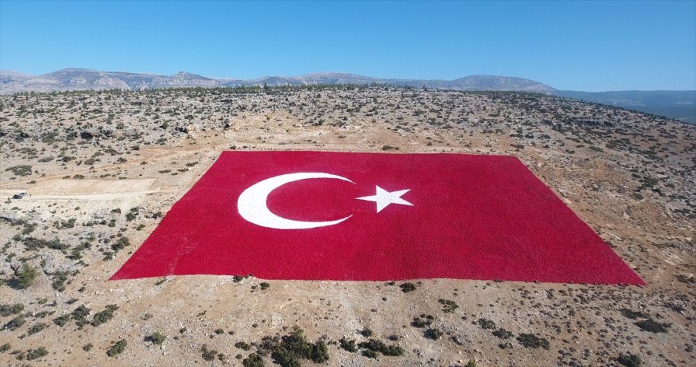 Mersin'de 22 Dönümlük Araziye İşlenen Türk Bayrağı 10 Kişiyle 40 Günde Boyandı