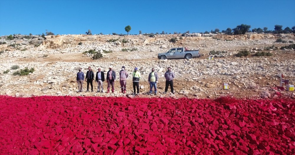Mersin'de 22 Dönümlük Araziye İşlenen Türk Bayrağı 10 Kişiyle 40 Günde Boyandı