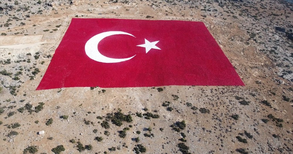 Mersin'de 22 Dönümlük Araziye İşlenen Türk Bayrağı 10 Kişiyle 40 Günde Boyandı