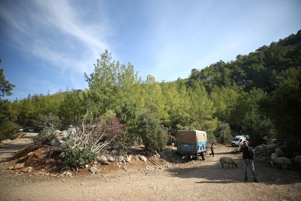 Mersin'de Kaybolan 3 Yaşındaki Çocuğu Arama Çalışmaları Sürüyor