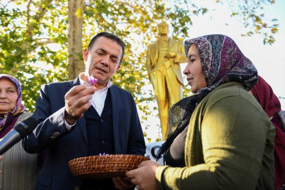 Mersin'de Safran Hasadı