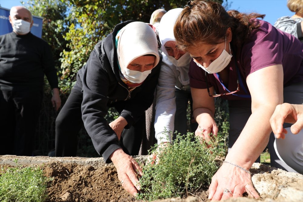 Antalya'da Alzaymır Hastaları İçin Aromatik Bitki Bahçesi Oluşturuldu