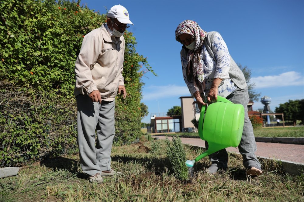 Antalya'da Alzaymır Hastaları İçin Aromatik Bitki Bahçesi Oluşturuldu