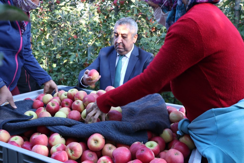 Karaman'dan 20 Ülkeye 100 Bin Tonun Üzerinde Elma İhracatı