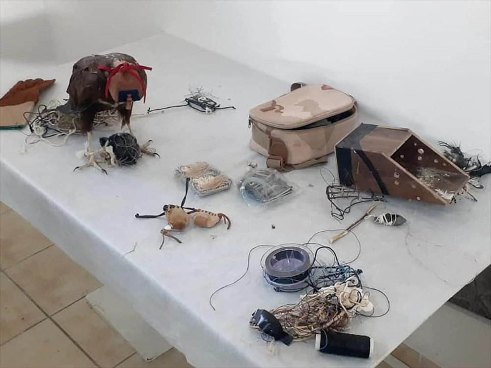 Konya'da Canlı Mühre İle Avlanan 2 Kişiye 28 Bin 500 Lira Ceza