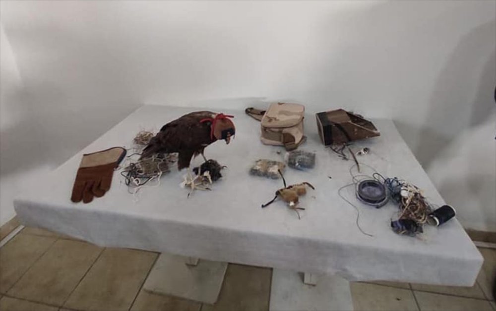 Konya'da Canlı Mühre İle Avlanan 2 Kişiye 28 Bin 500 Lira Ceza