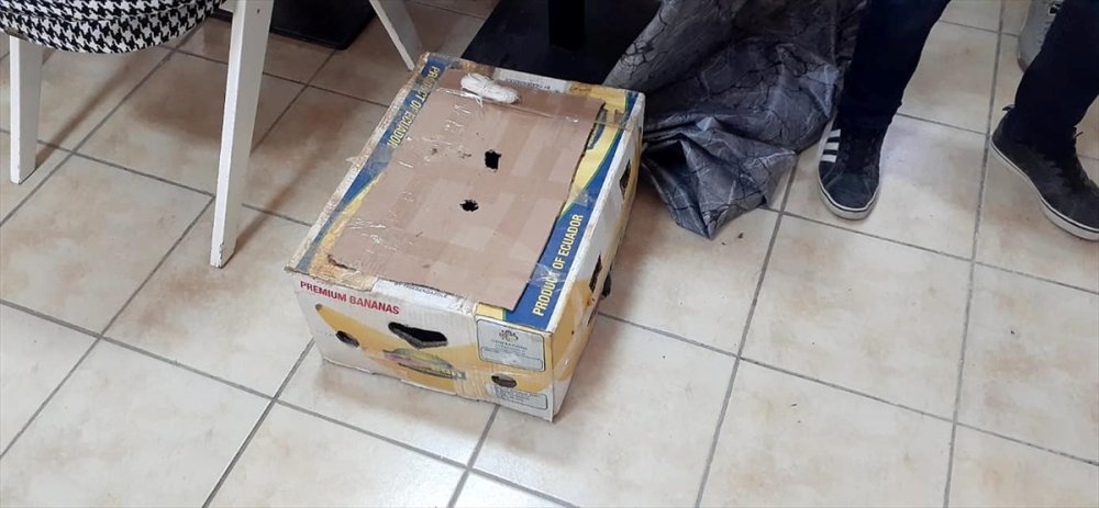 Konya'da Canlı Mühre İle Avlanan 2 Kişiye 28 Bin 500 Lira Ceza