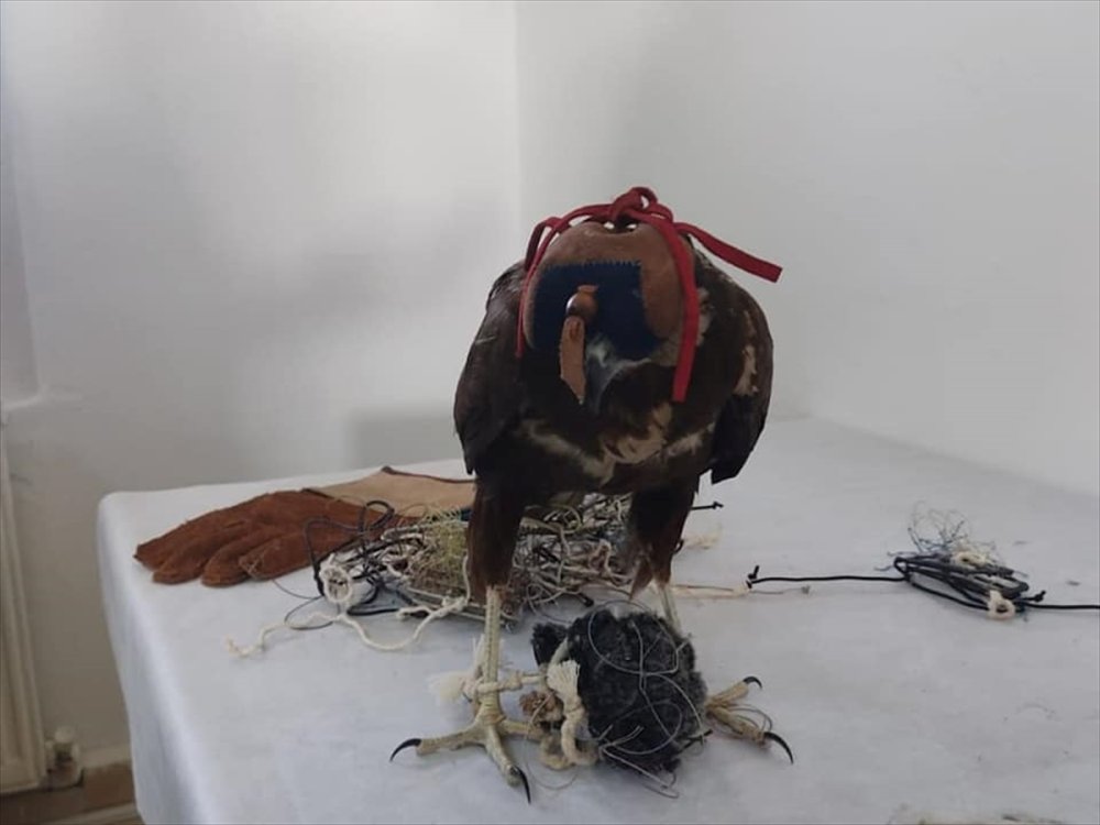 Konya'da Canlı Mühre İle Avlanan 2 Kişiye 28 Bin 500 Lira Ceza