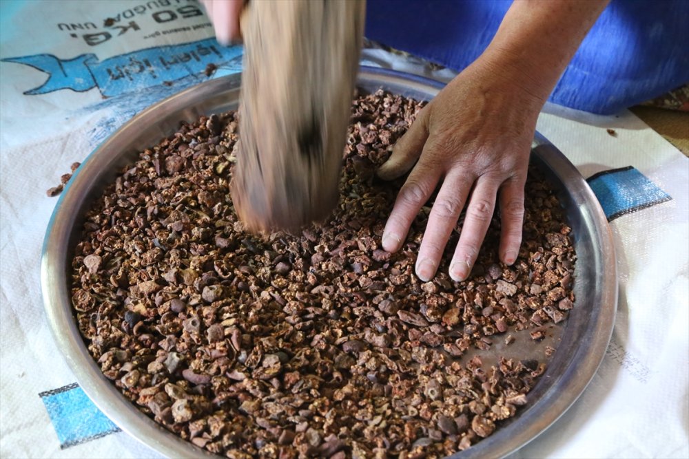 Yaban Armutlarının Yufkaya Dönüşüm Hikayesi