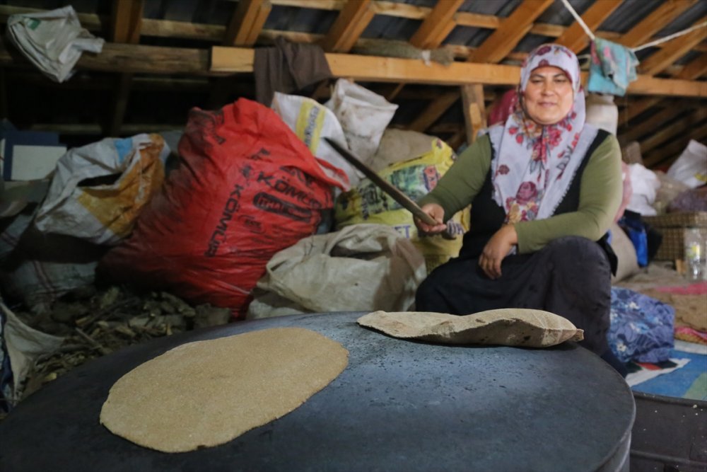 Yaban Armutlarının Yufkaya Dönüşüm Hikayesi