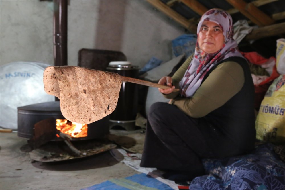 Yaban Armutlarının Yufkaya Dönüşüm Hikayesi