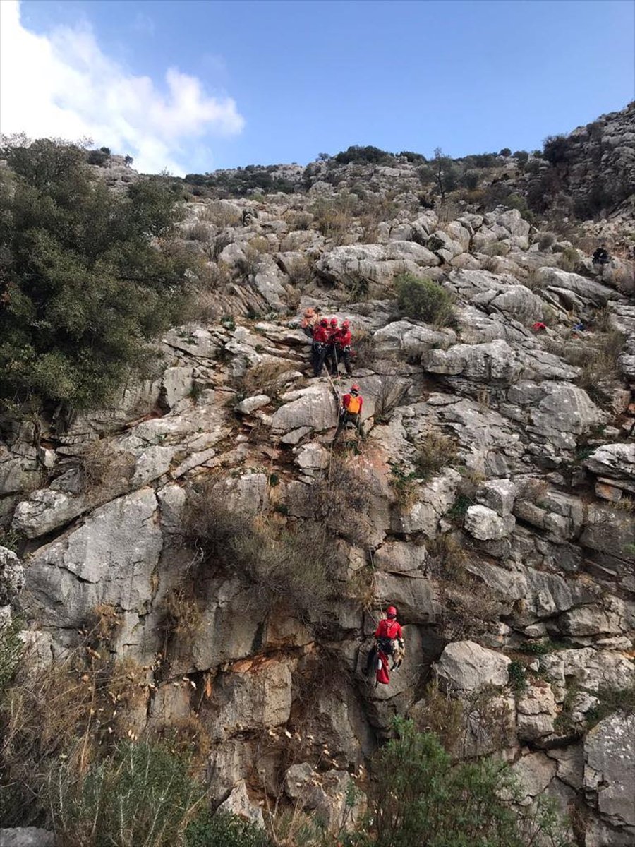 Kaş'ta Mahsur Kalan Keçilere Kurtarma Operasyonu