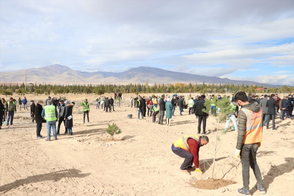 Niğde'de Fidanlar Öğretmenler İçin Yeşerecek