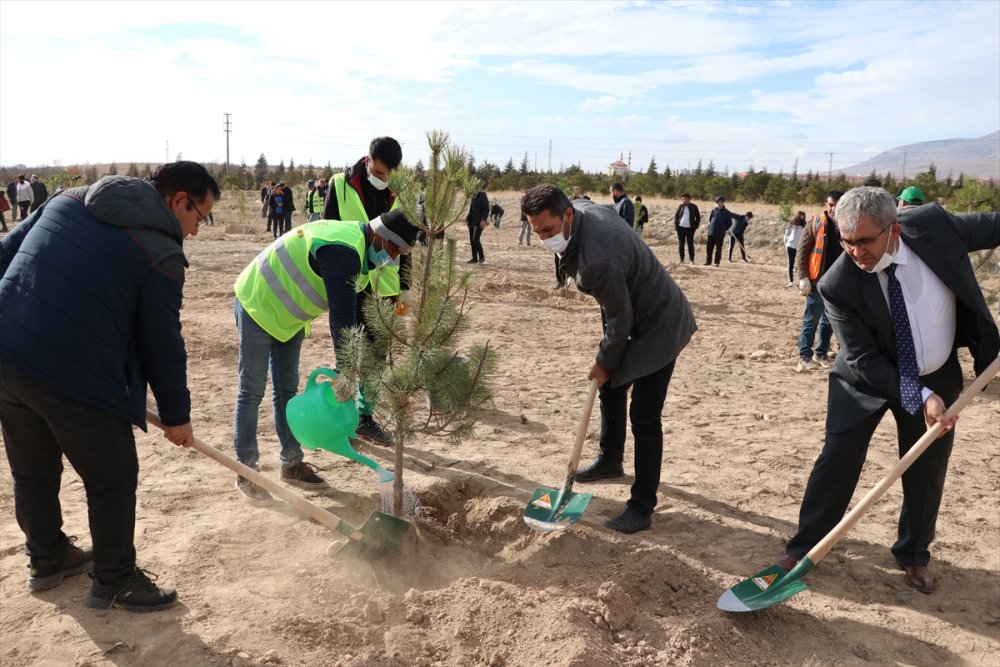 Niğde'de Fidanlar Öğretmenler İçin Yeşerecek