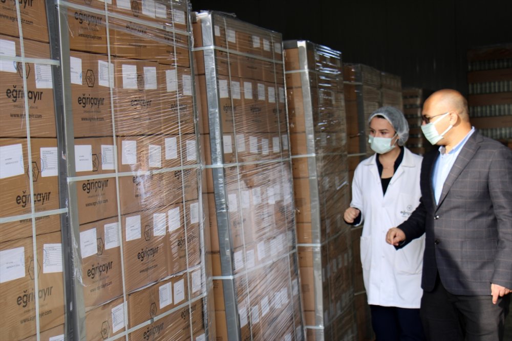 Eğriçayır Balı Hollanda Yolcusu