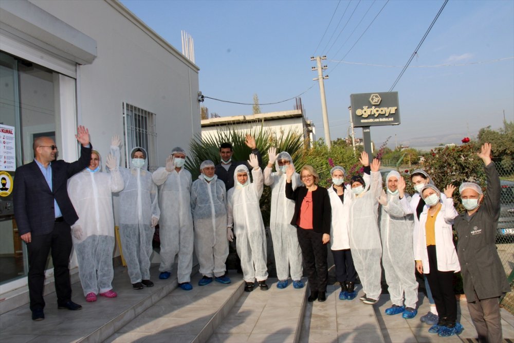 Eğriçayır Balı Hollanda Yolcusu