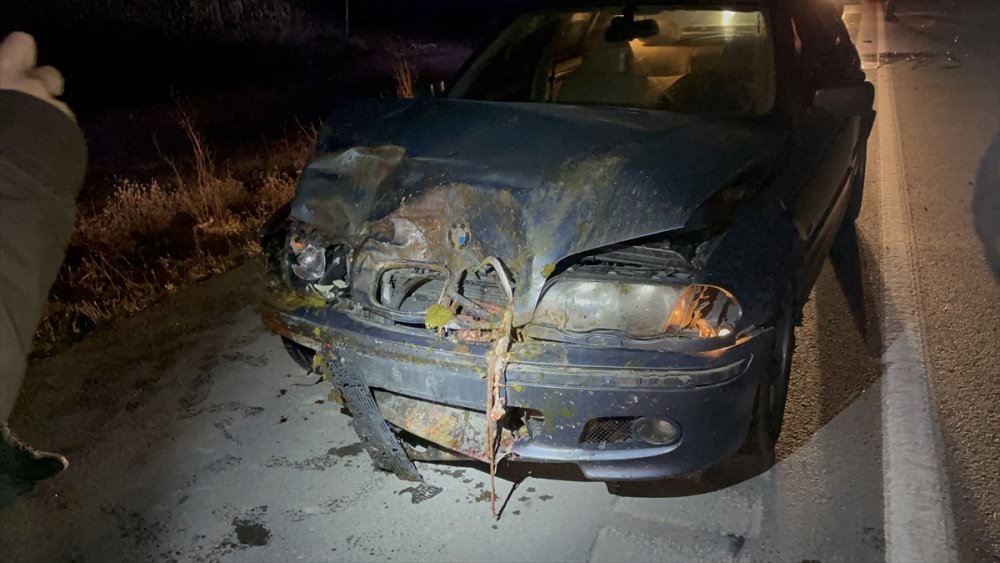 Aksaray'da Otomobilin Çarptığı 4 Koyun Telef Oldu