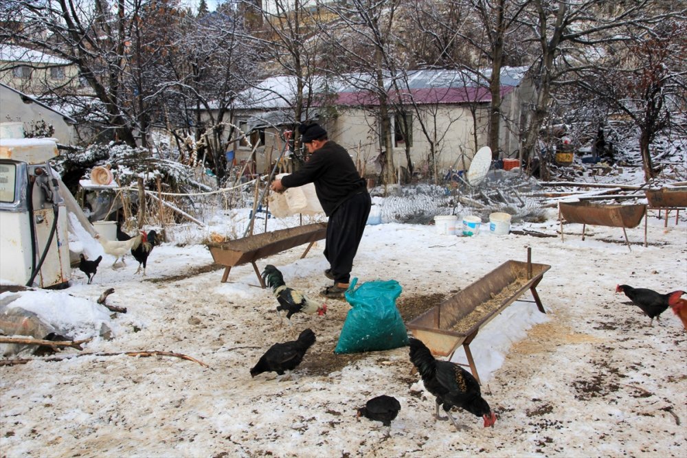Kar Torosları Kaplayınca Göç Başladı