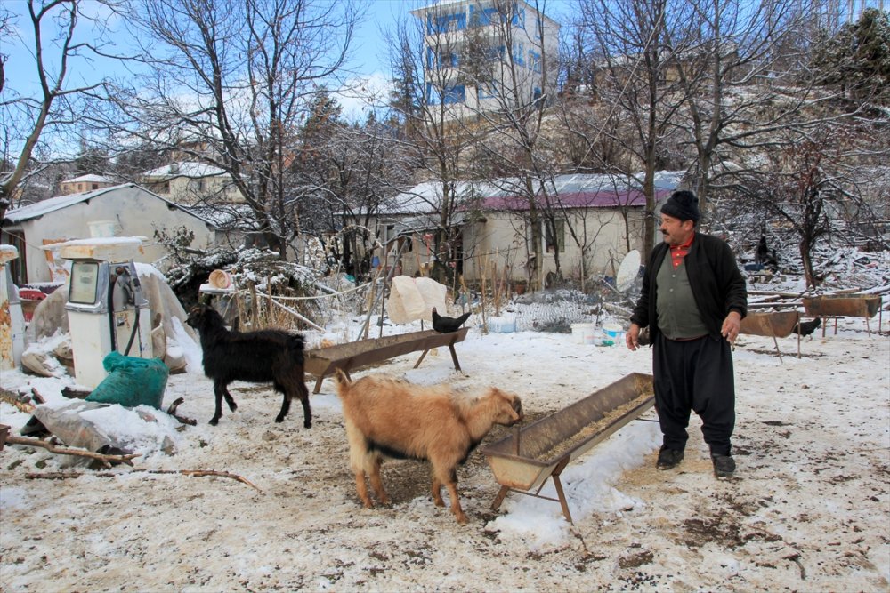 Kar Torosları Kaplayınca Göç Başladı