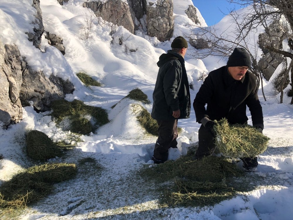 Yaban Hayat İçin Yem  Bırakıldı