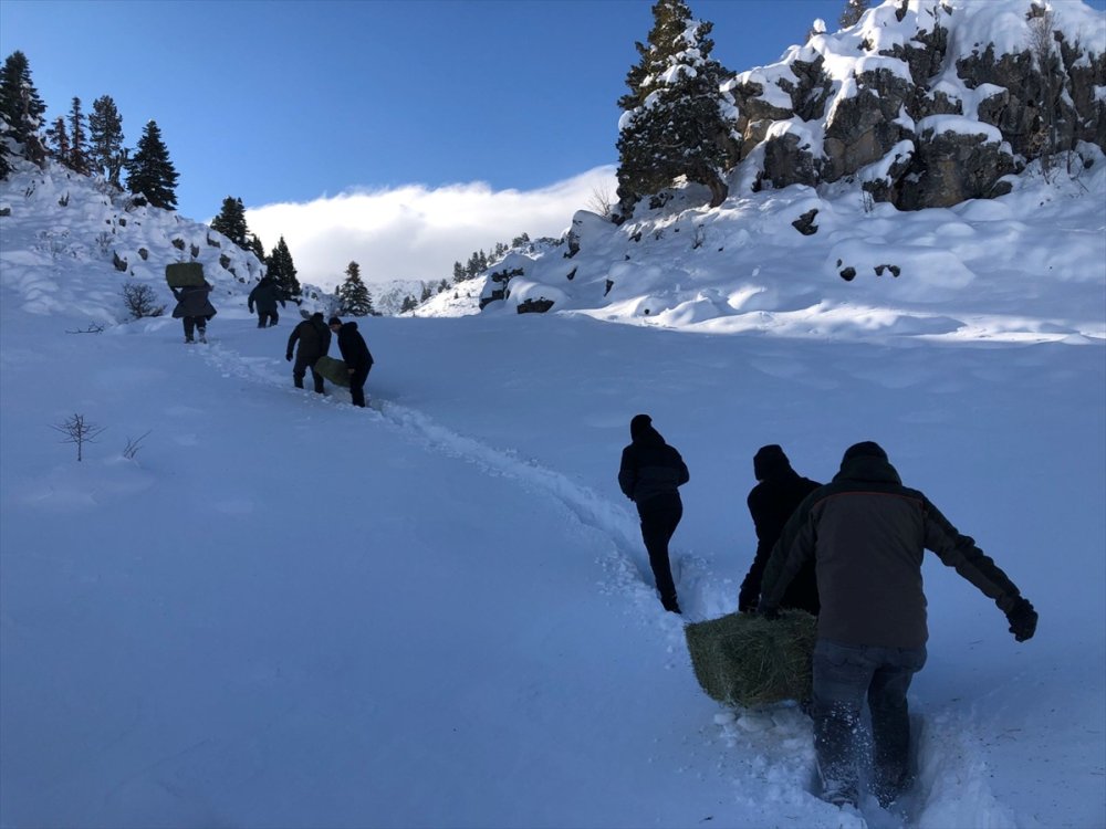 Yaban Hayat İçin Yem  Bırakıldı