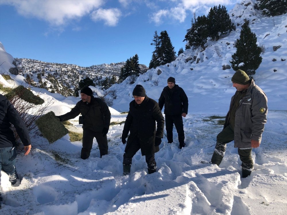 Yaban Hayat İçin Yem  Bırakıldı