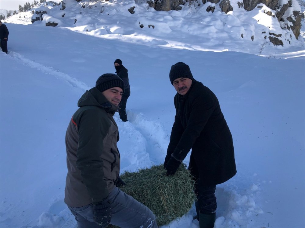 Yaban Hayat İçin Yem  Bırakıldı