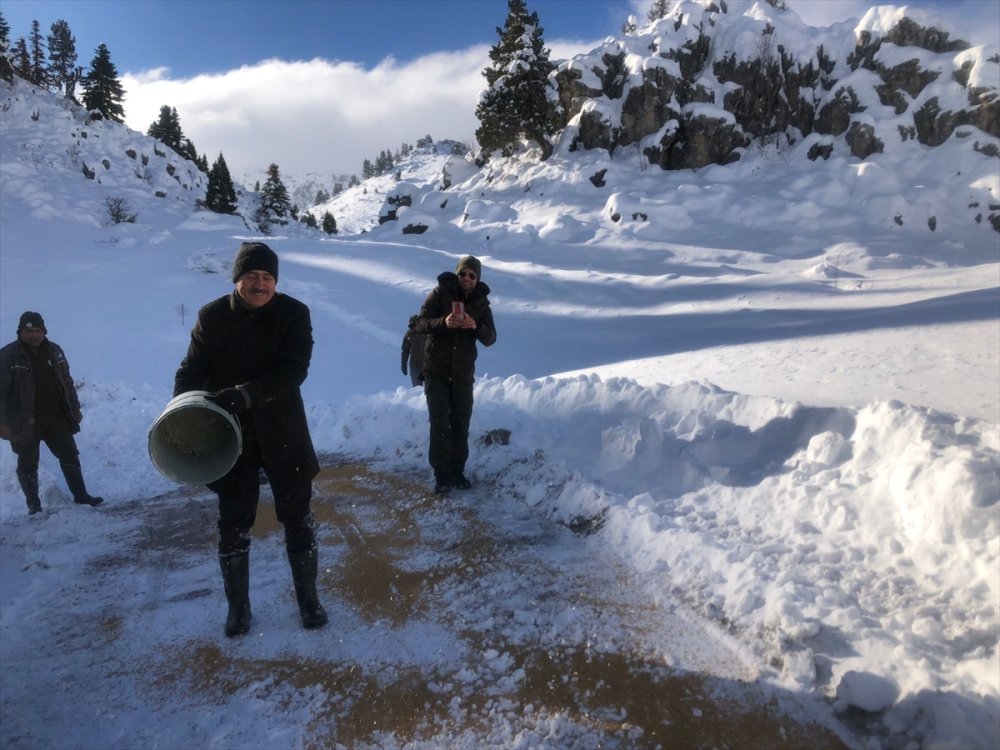 Yaban Hayat İçin Yem  Bırakıldı