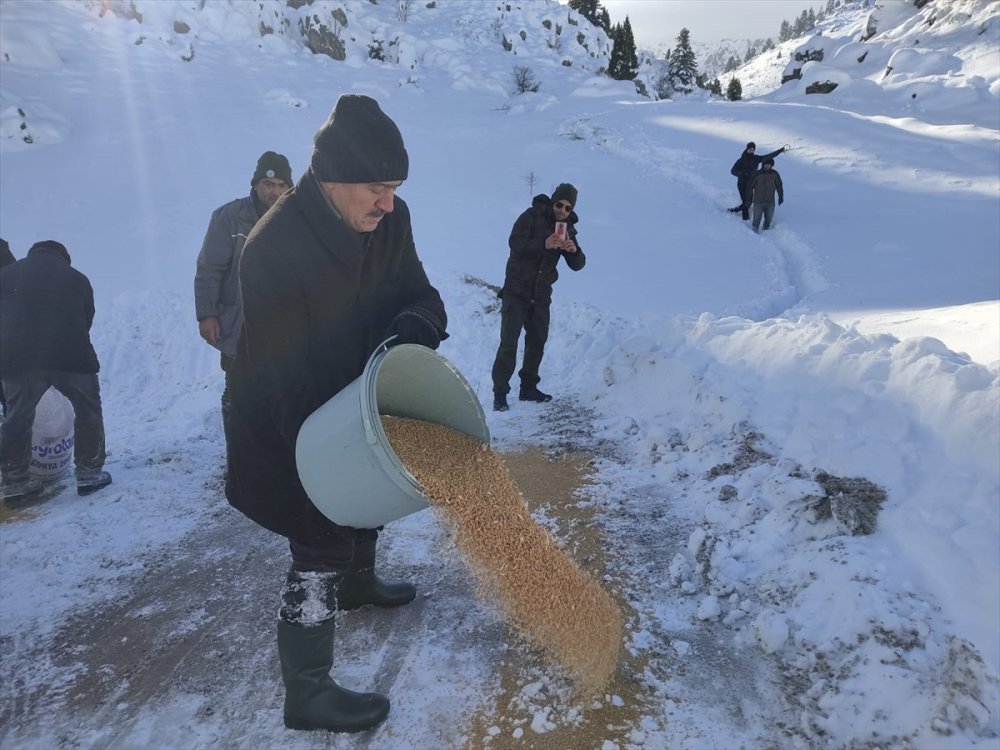Yaban Hayat İçin Yem  Bırakıldı