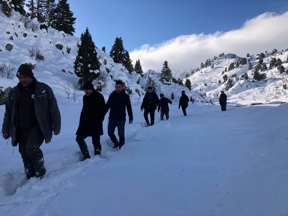 Yaban Hayat İçin Yem  Bırakıldı