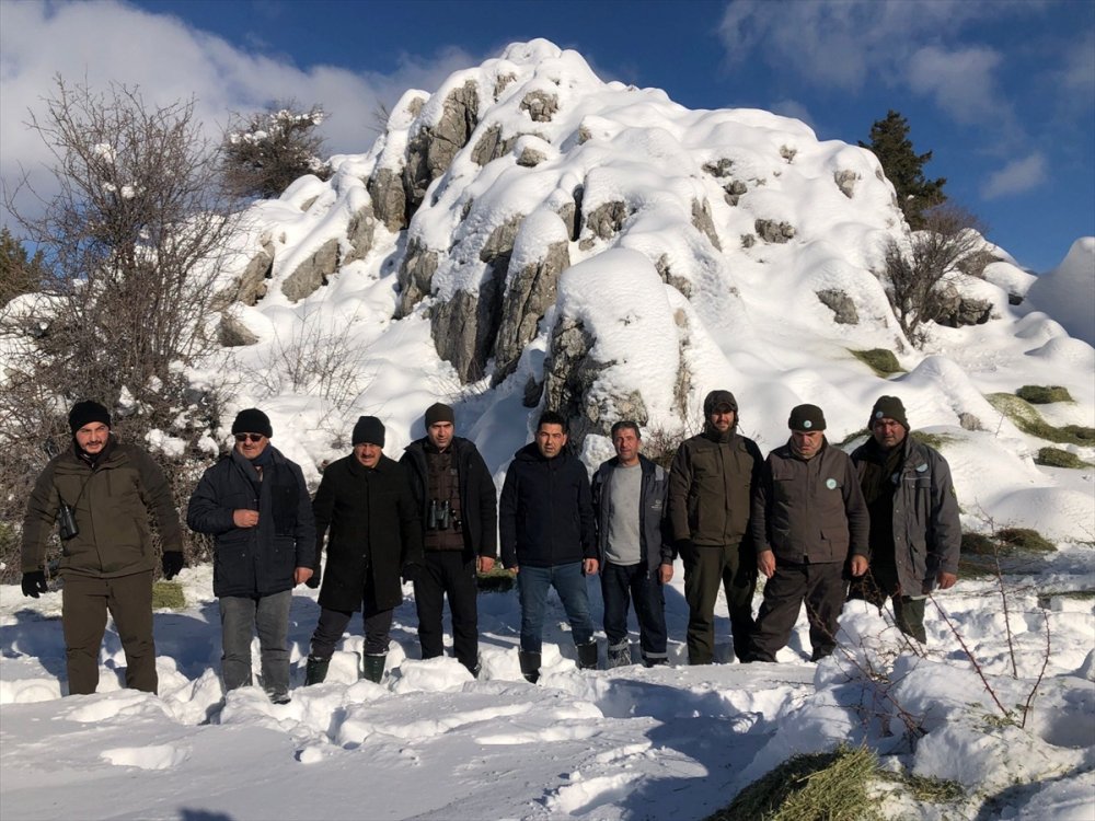 Yaban Hayat İçin Yem  Bırakıldı