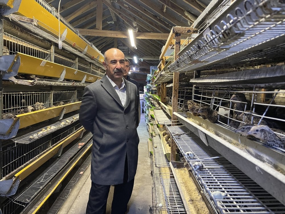 Karaman'da Yetiştiriliyor Irkı İçin İddialı