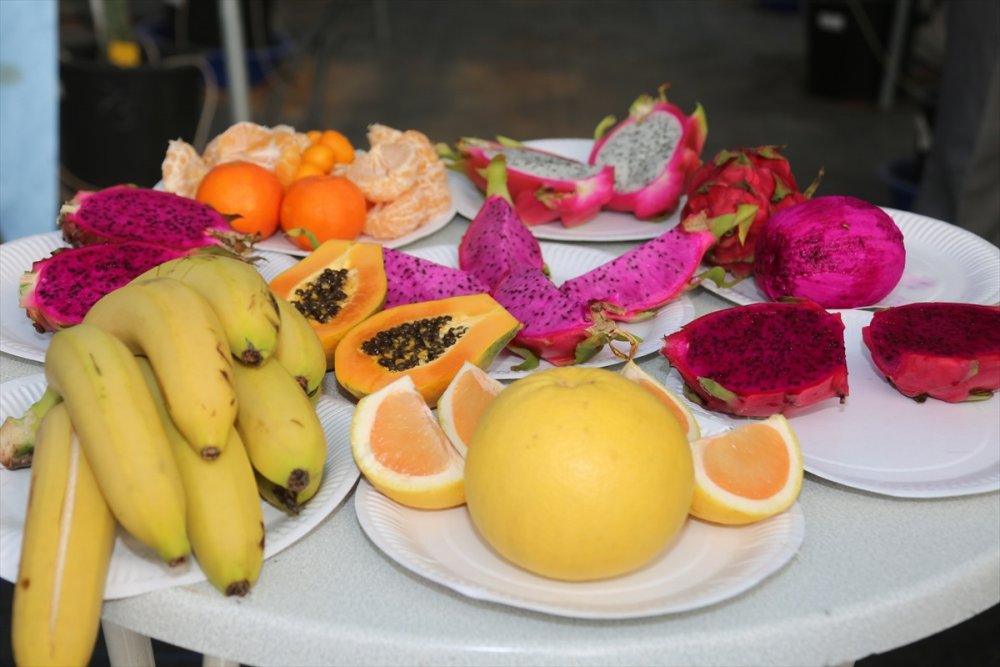 Türkiye'de Tropik Meyve Yetiştiriciliğine Olan İlgi Artıyor