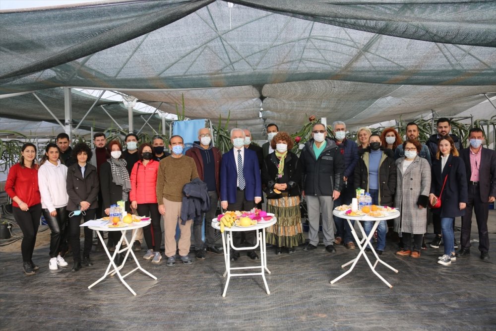 Türkiye'de Tropik Meyve Yetiştiriciliğine Olan İlgi Artıyor