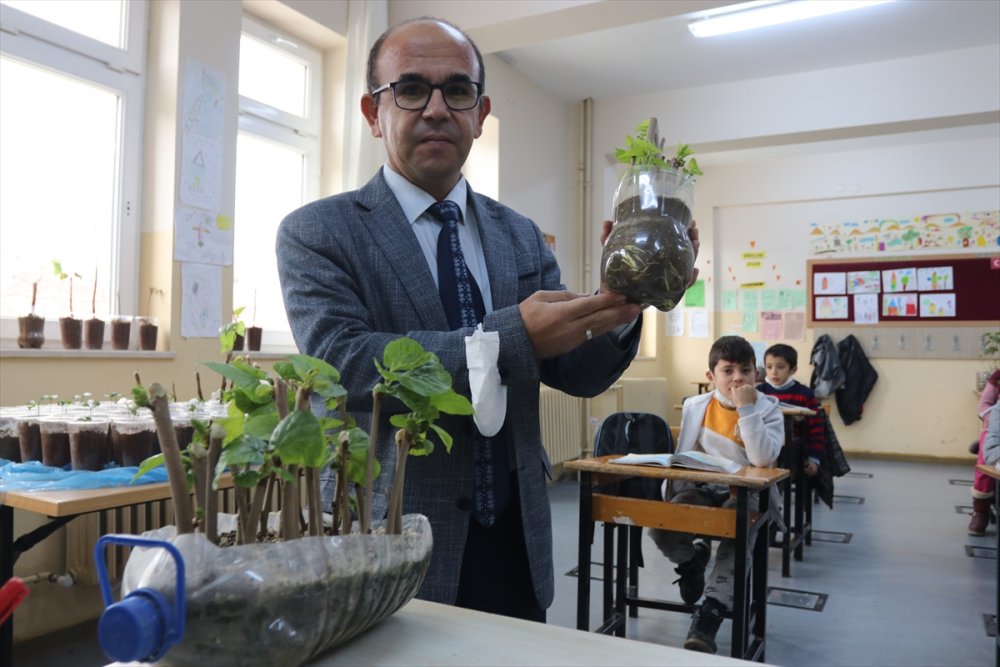 Öğrencilerin Yediği Meyvelerin Çekirdeği Fidana Dönüşüyor