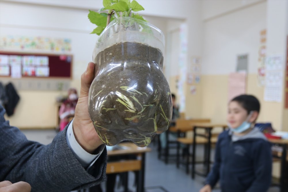 Öğrencilerin Yediği Meyvelerin Çekirdeği Fidana Dönüşüyor