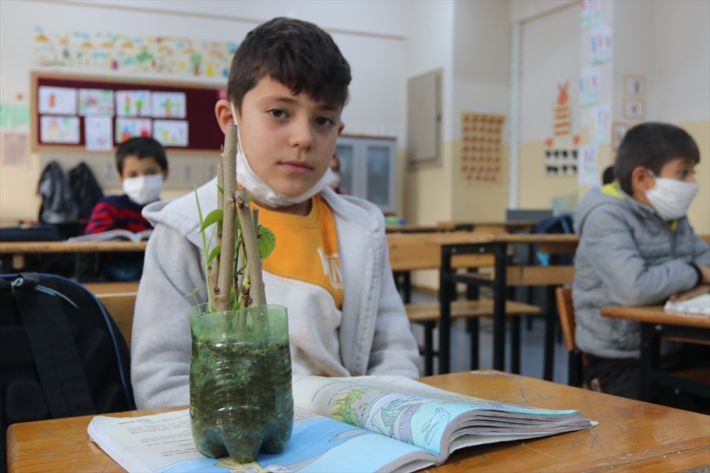 Öğrencilerin Yediği Meyvelerin Çekirdeği Fidana Dönüşüyor