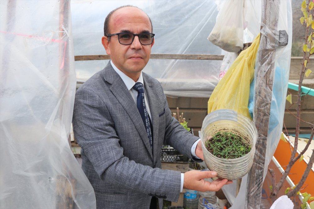 Öğrencilerin Yediği Meyvelerin Çekirdeği Fidana Dönüşüyor