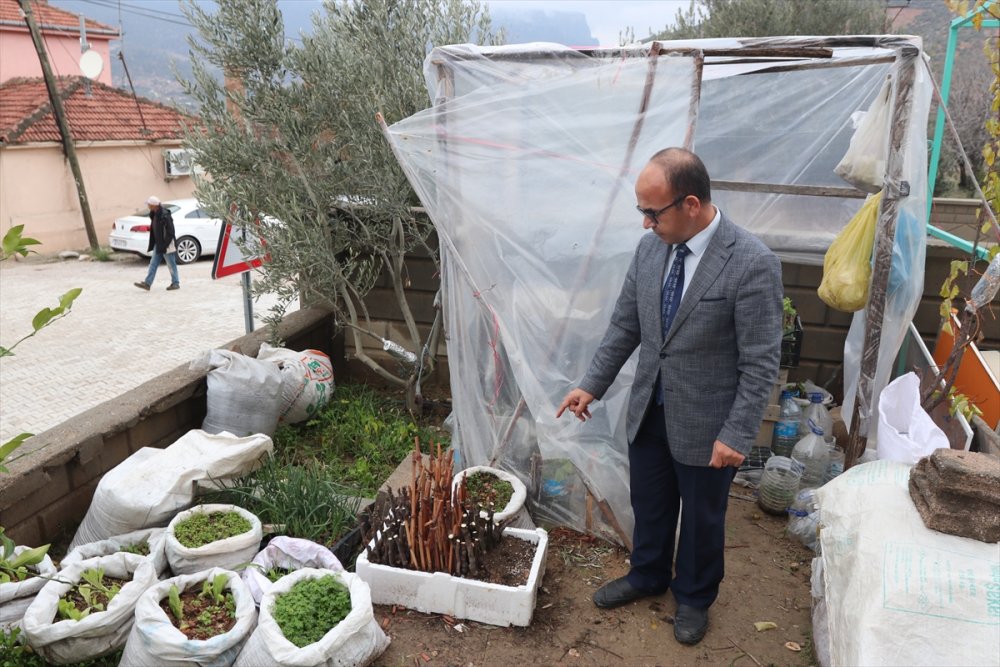 Öğrencilerin Yediği Meyvelerin Çekirdeği Fidana Dönüşüyor
