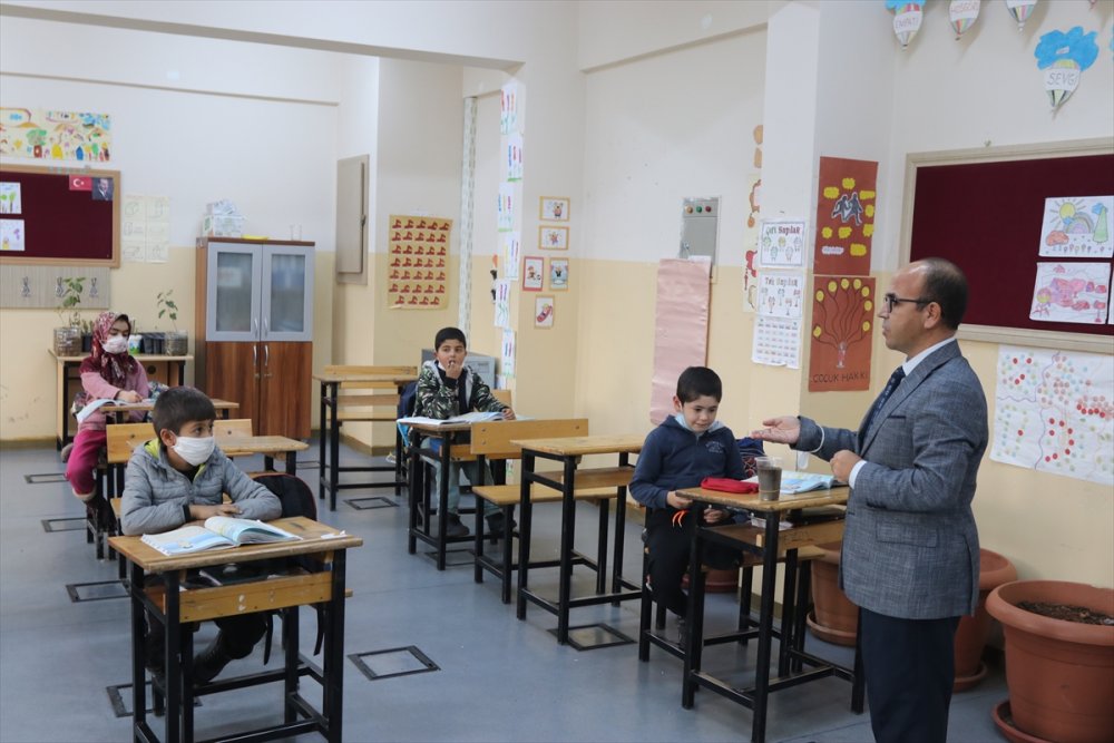 Öğrencilerin Yediği Meyvelerin Çekirdeği Fidana Dönüşüyor