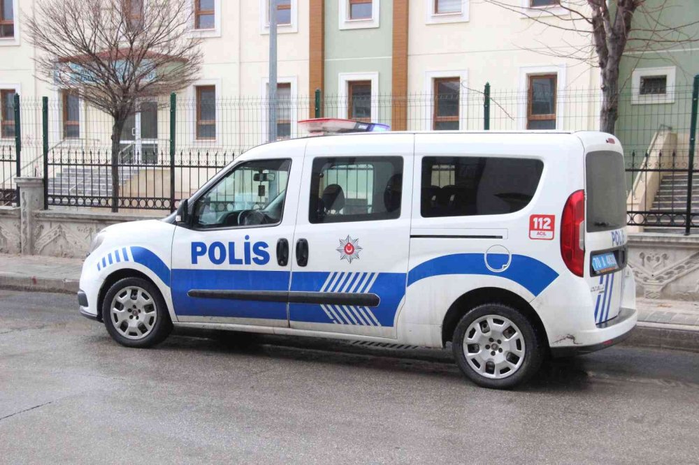 Karaman'da Kedilere Eziyet İhbarı Harekete Geçirdi