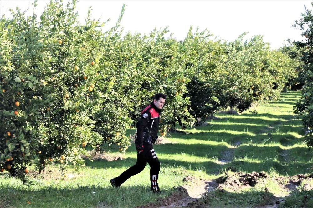 Polislerden Kaçış Sera Arasına Kadar Sürdü