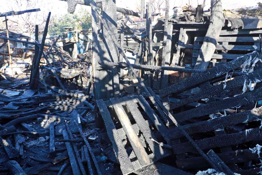 Yeni Çektiği Maaşı İçin Canını Hiçe Saydı